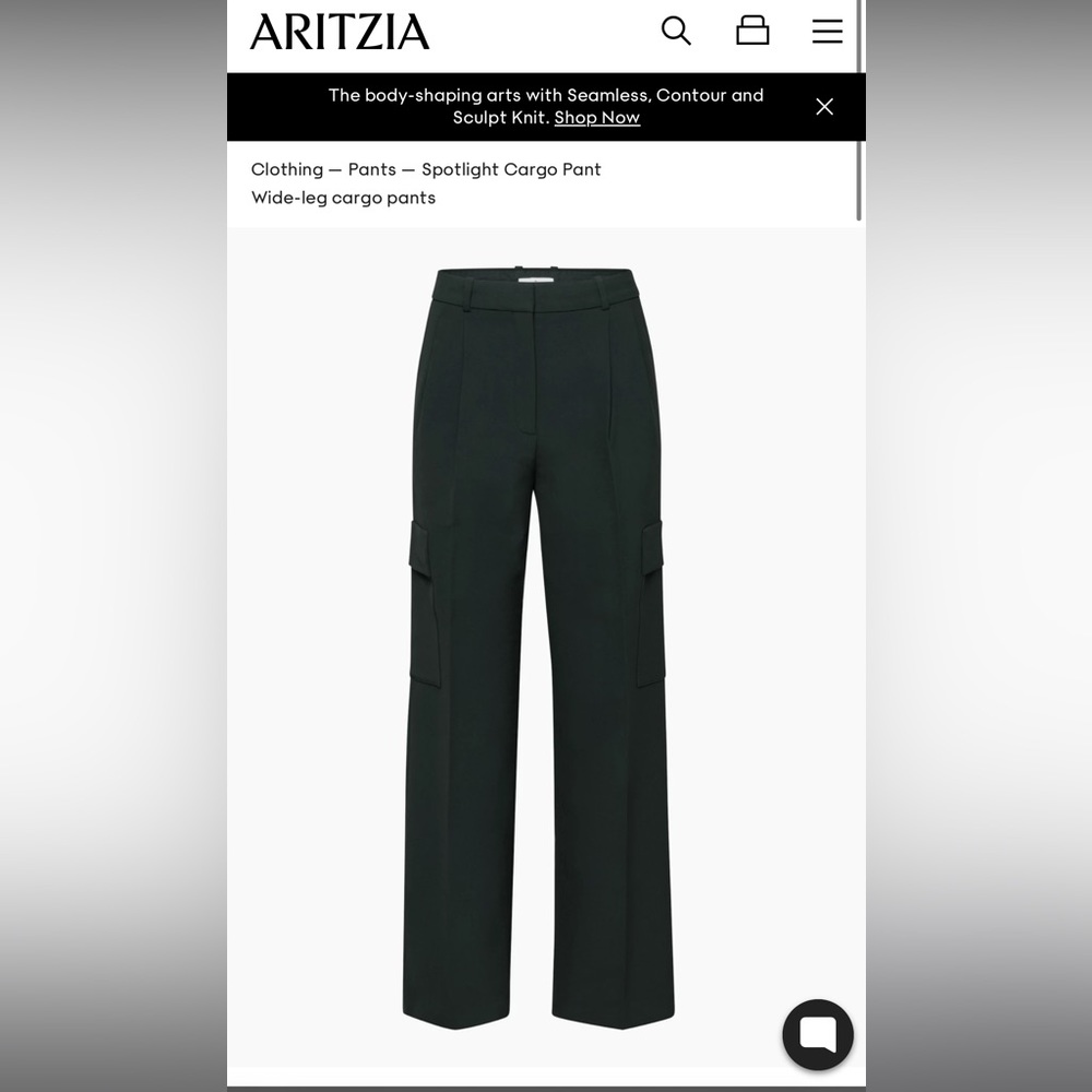 NEW Aritzia Bader Black Cargo Pant